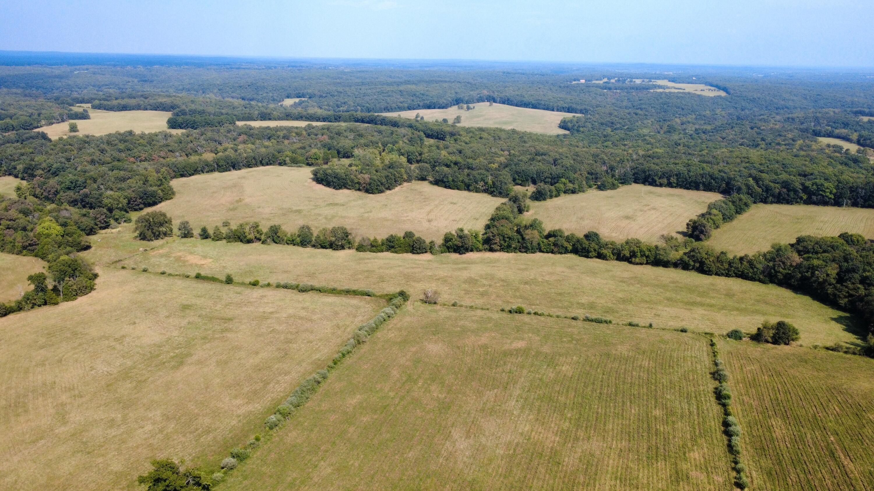4040 Rolla Mo 65401 Rolla, MO 65401 - Photo 30 of 46 dji_fly_20260909_150600_467_178905554431