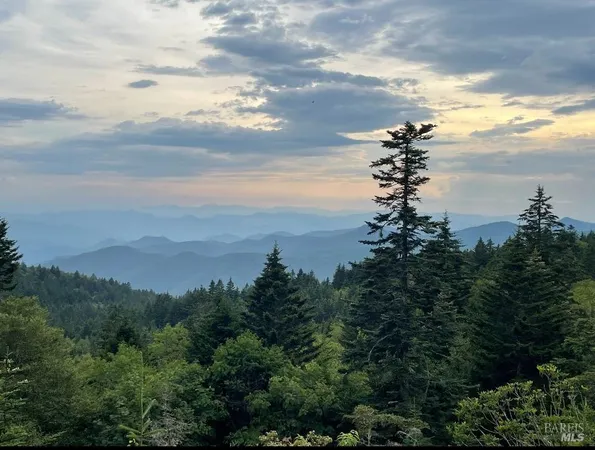 a view of a lake and mountain in the back
