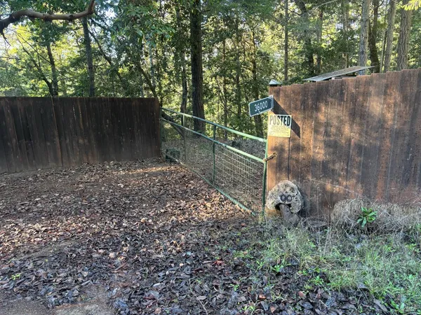 a view of backyard with green space
