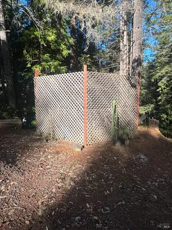a view of a yard with plants and trees