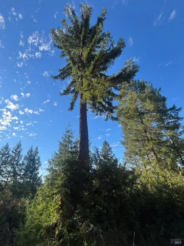 $425,000 | 36000 Nash Mill Road, Philo, CA 95466