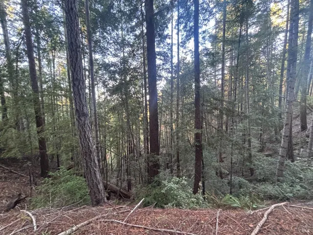 $425,000 | 36000 Nash Mill Road, Philo, CA 95466