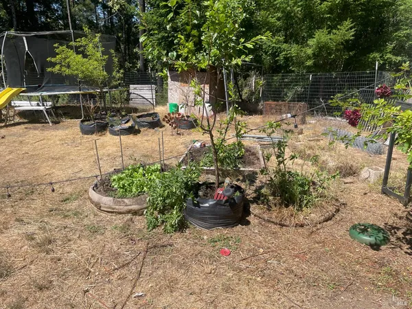 a view of a backyard with plants and patio