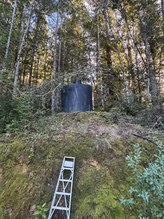 a backyard of a house with lots of plants and large trees