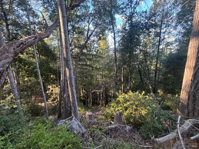 $425,000 | 36000 Nash Mill Road, Philo, CA 95466