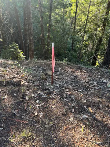 $425,000 | 36000 Nash Mill Road, Philo, CA 95466