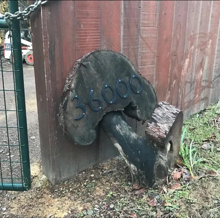 a view of a wooden door