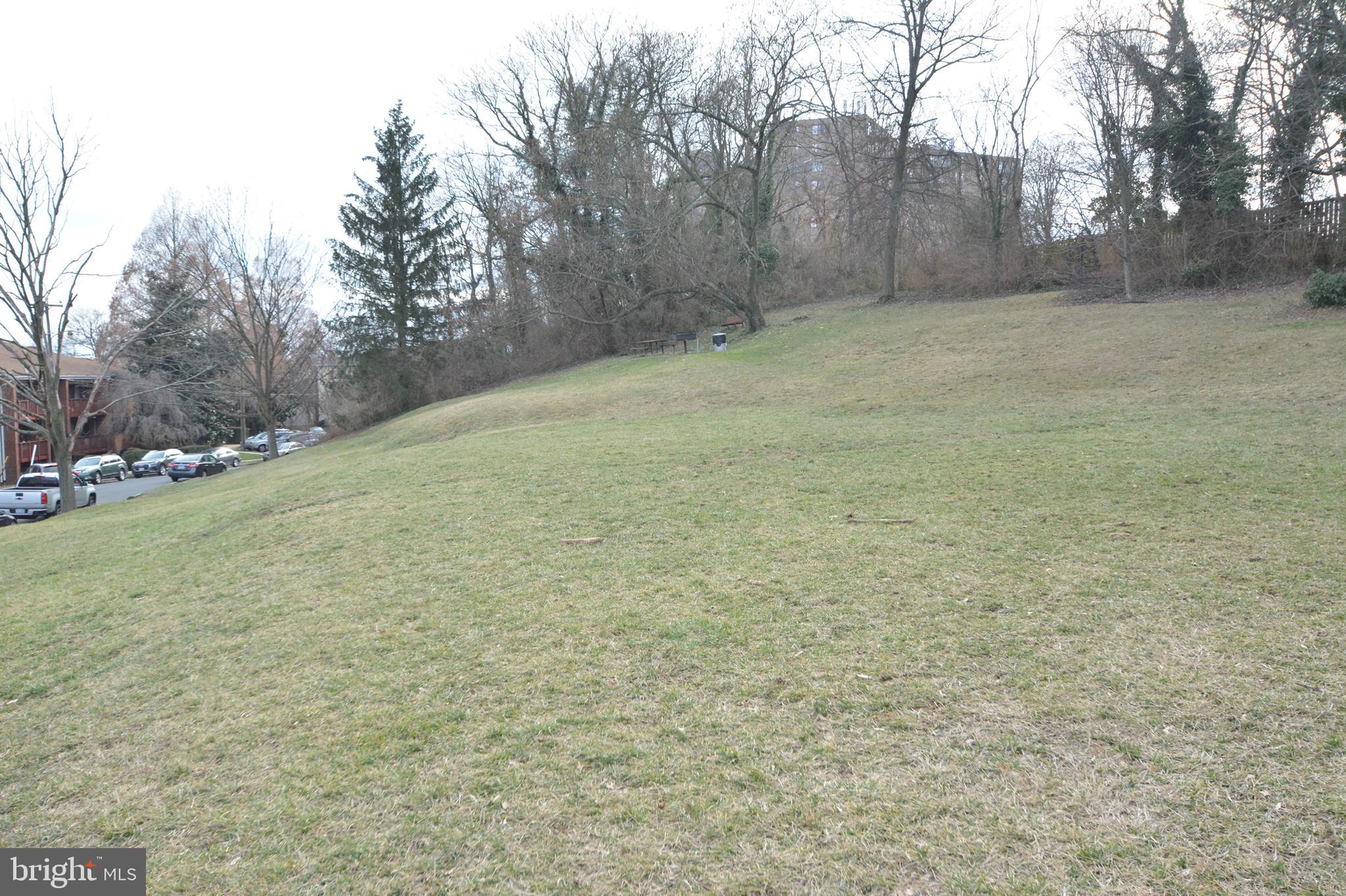105 Skyhill Road, Unit 6 Alexandria, VA 22314 - Photo 24 of 39 View of park from condo.