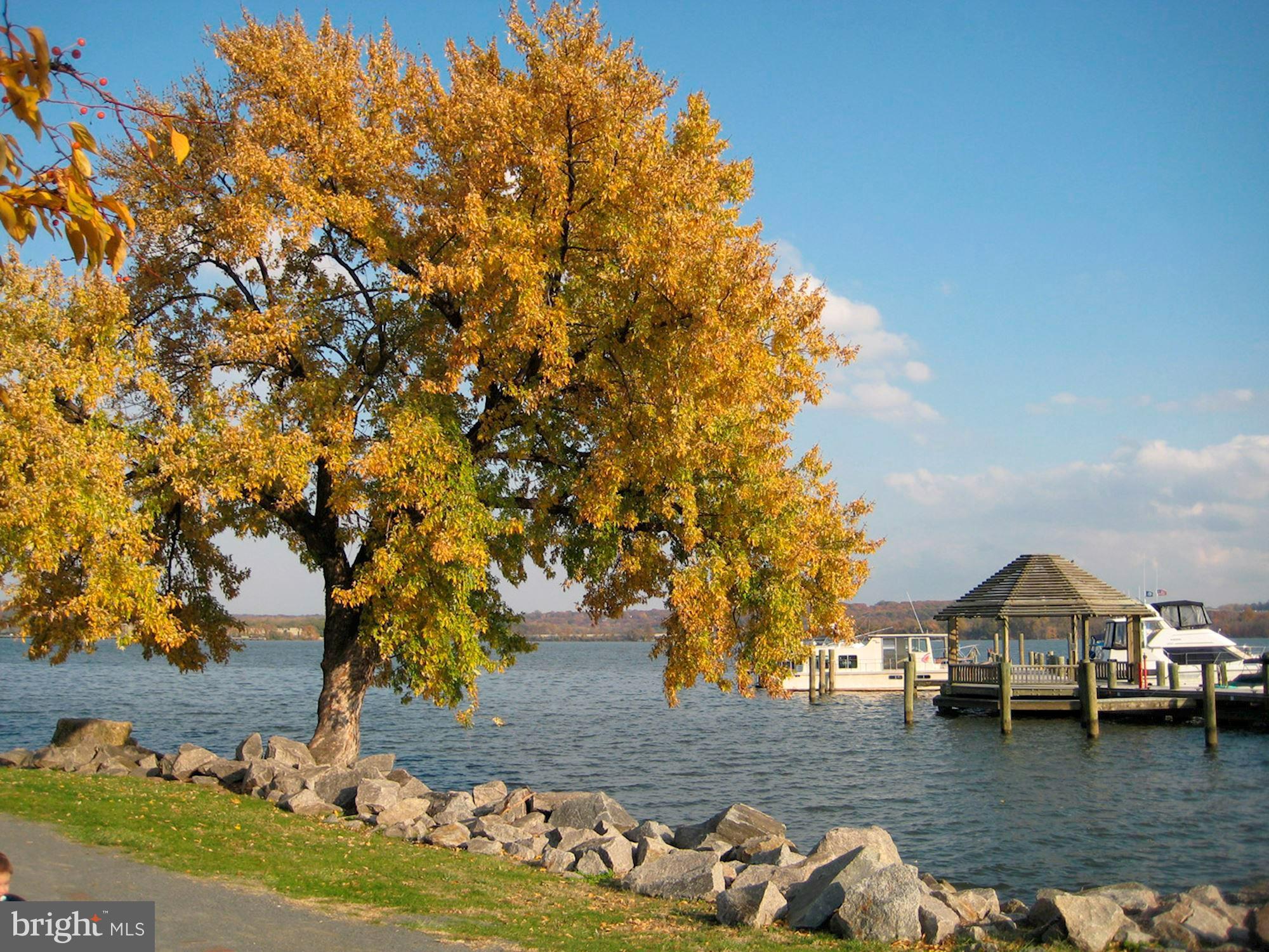 105 Skyhill Road, Unit 6 Alexandria, VA 22314 - Photo 38 of 39