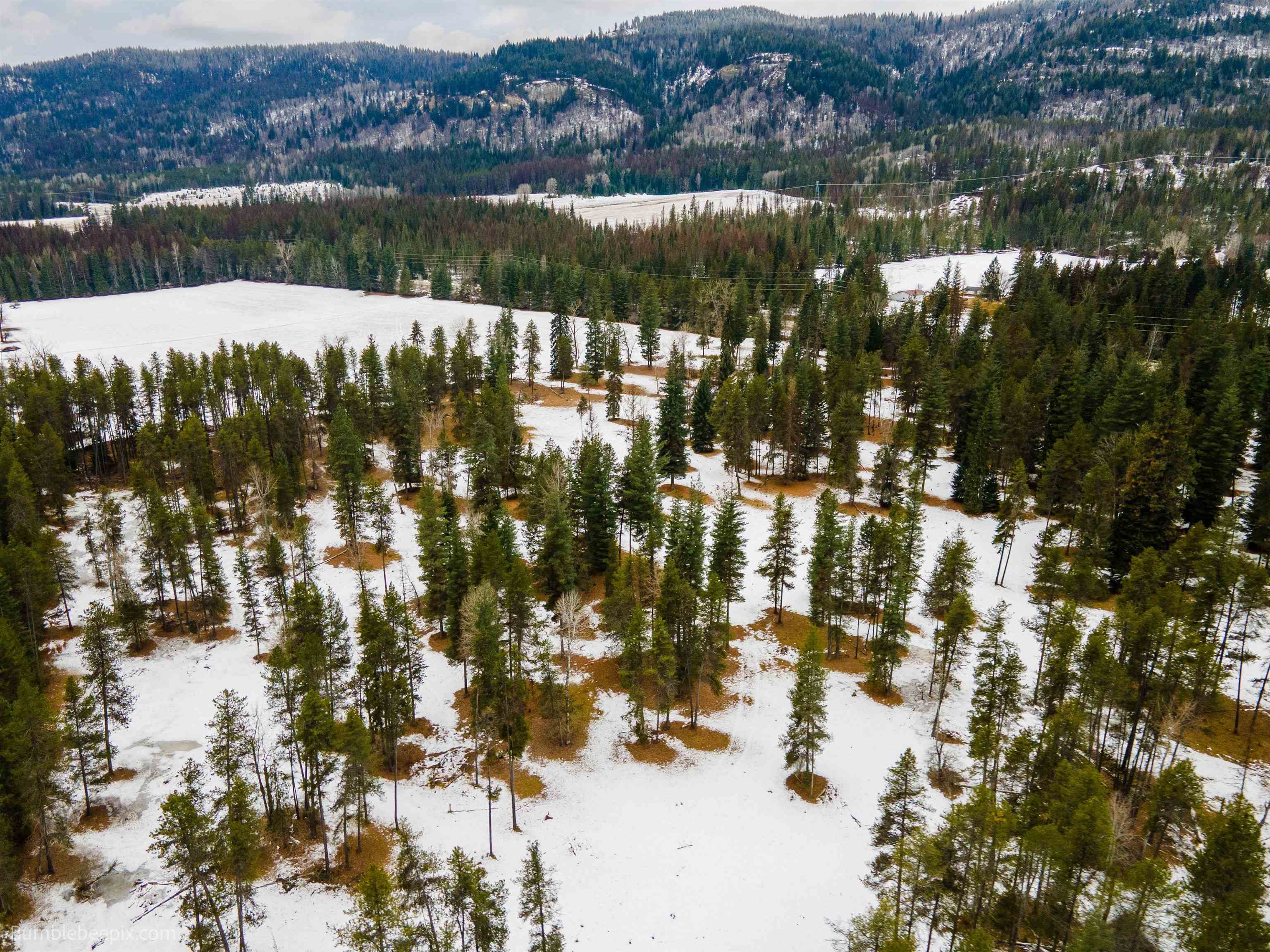 Nkn Nkn 20th Highway Cusick, WA 99119 - Photo 13 of 50