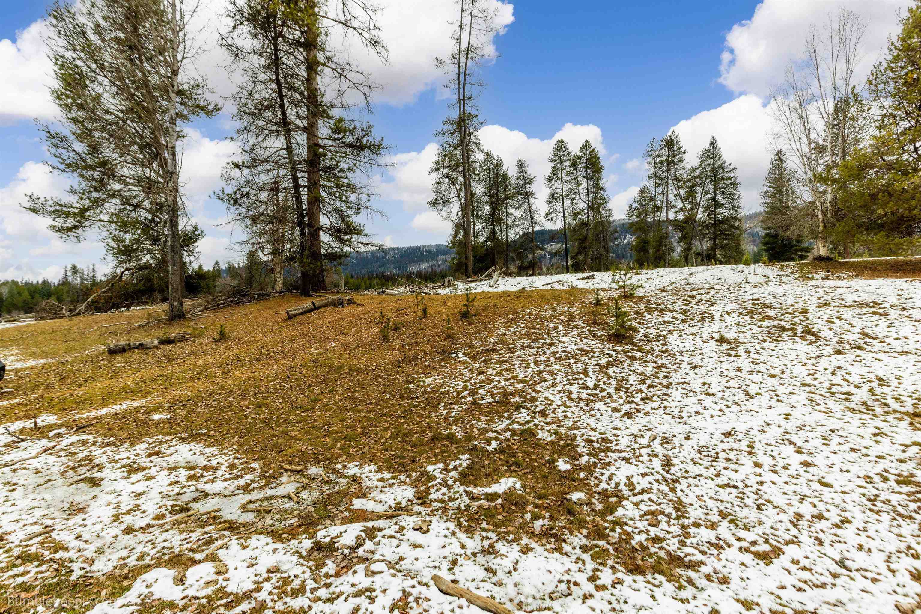 Nkn Nkn 20th Highway Cusick, WA 99119 - Photo 36 of 50