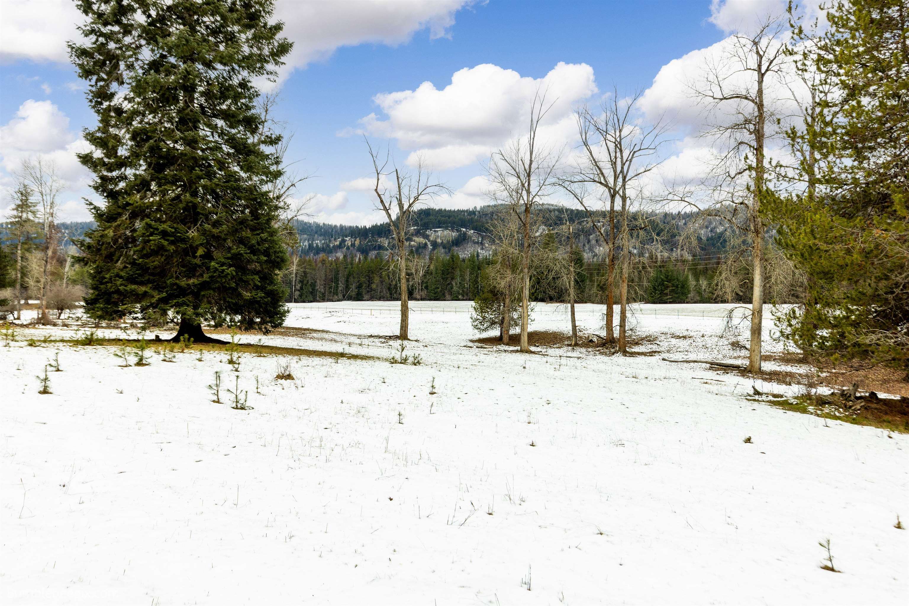 Nkn Nkn 20th Highway Cusick, WA 99119 - Photo 39 of 50