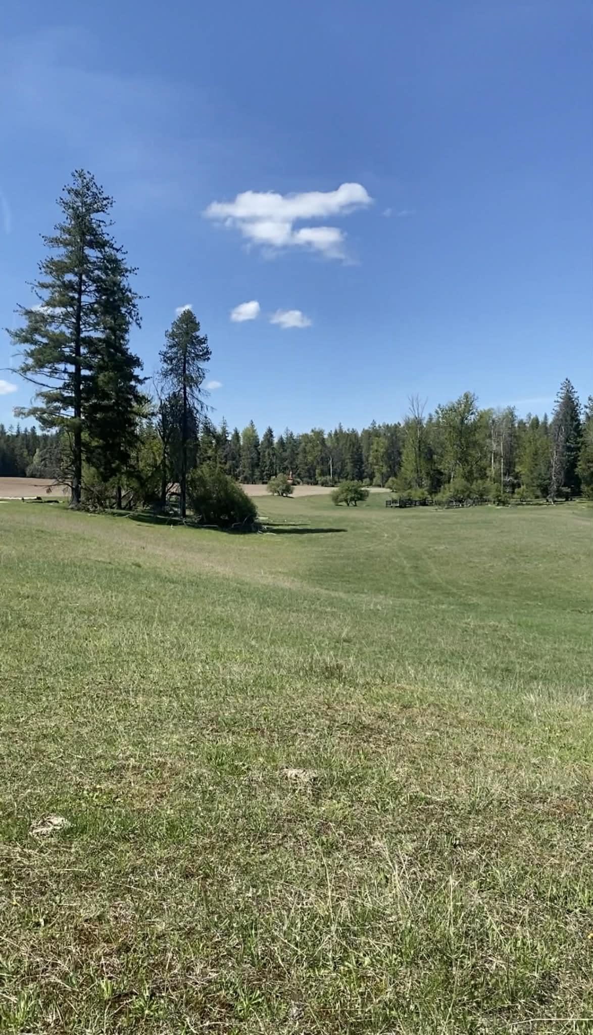 Nkn Nkn 20th Highway Cusick, WA 99119 - Photo 5 of 50