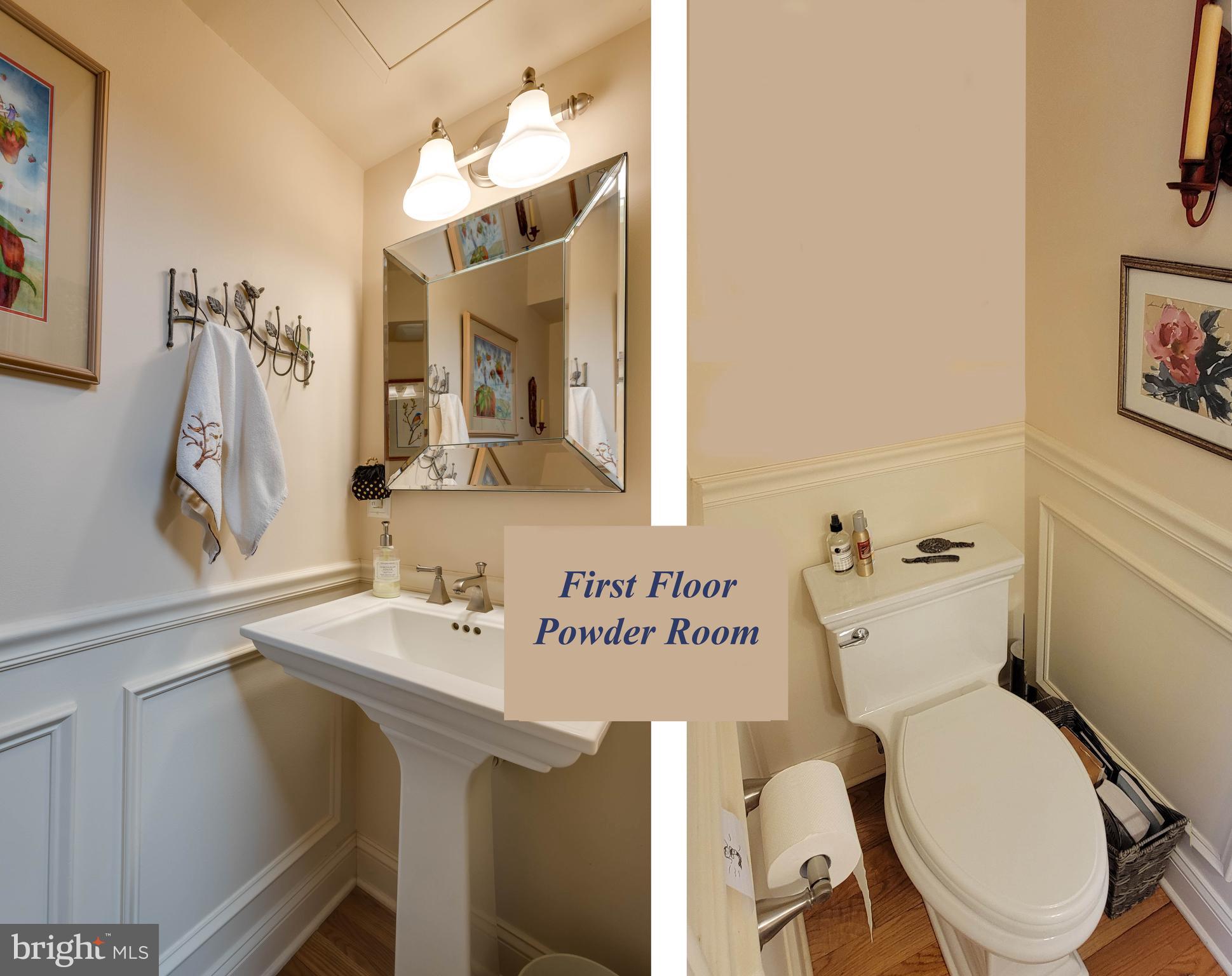 1451 Hilltop Road Spring City, PA 19475 - Photo 15 of 99 Powder Room off of Mud Room
