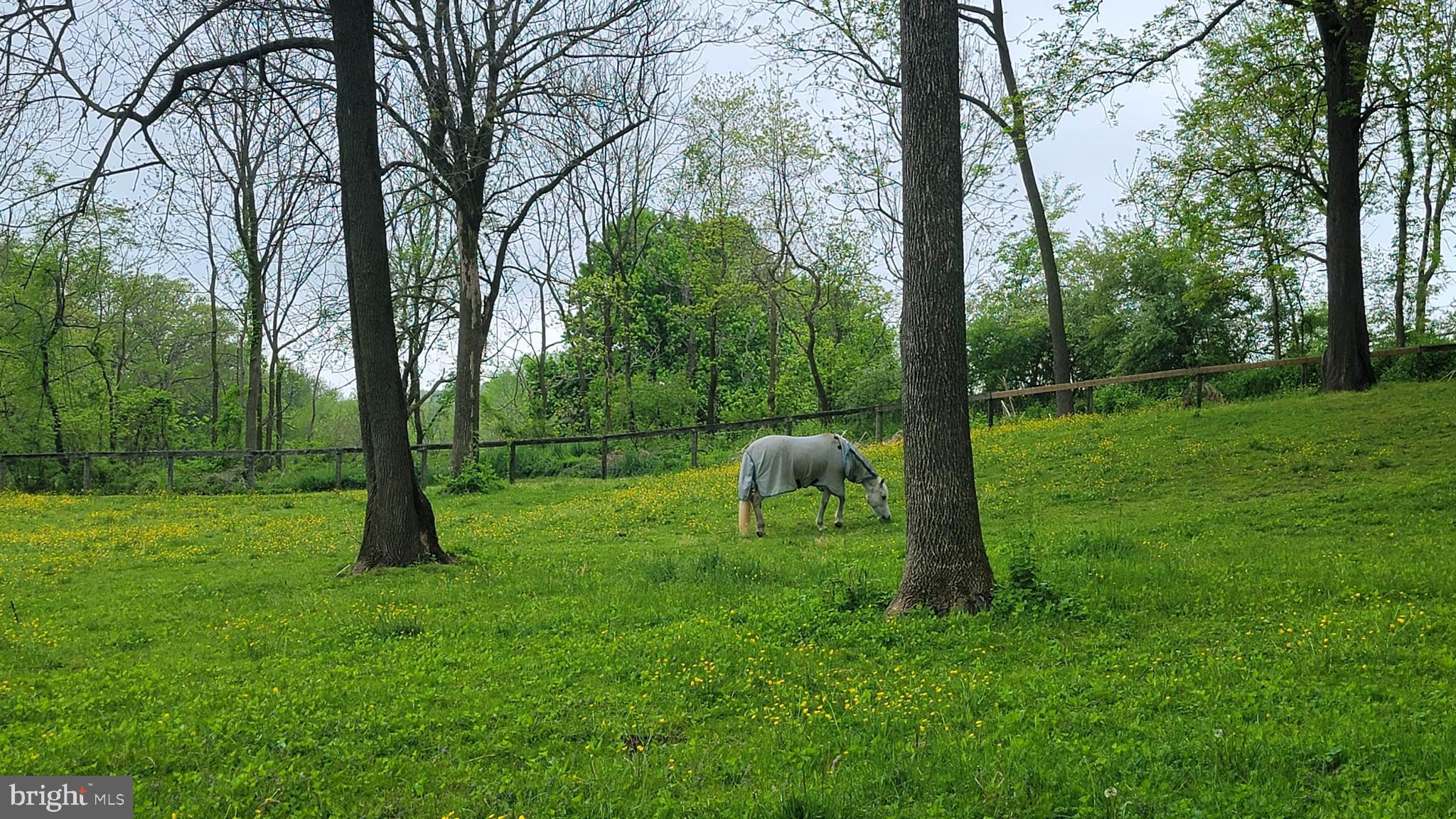 1451 Hilltop Road Spring City, PA 19475 - Photo 57 of 99 Pastures