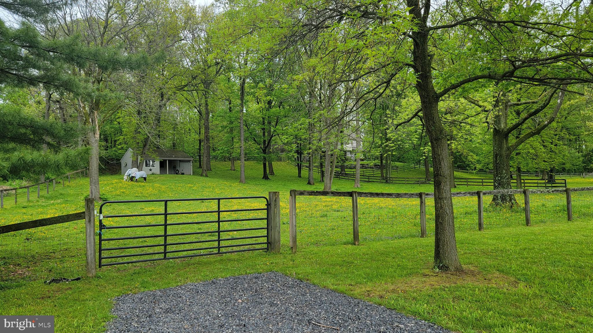 1451 Hilltop Road Spring City, PA 19475 - Photo 58 of 99 Pastures from the Street