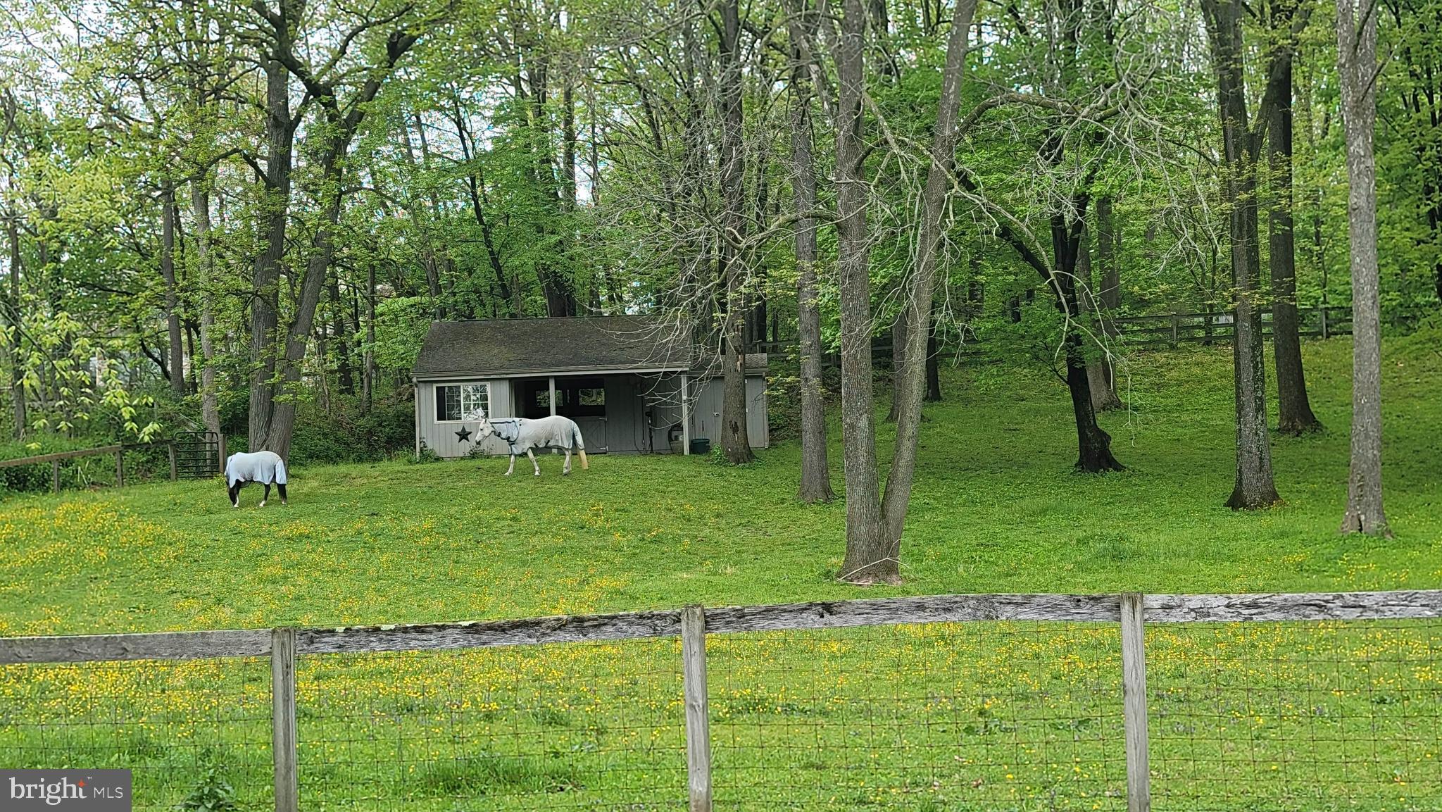 1451 Hilltop Road Spring City, PA 19475 - Photo 65 of 99 Barn, Fenced Pastures