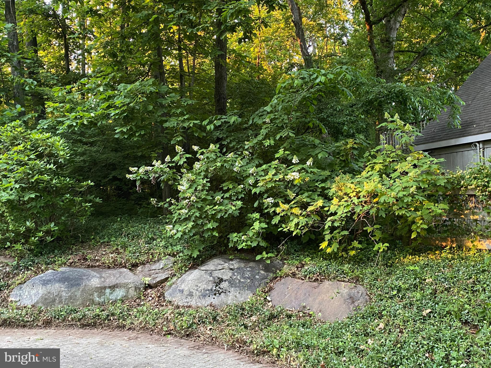 1451 Hilltop Road Spring City, PA 19475 - Photo 80 of 99 Pool Landscape