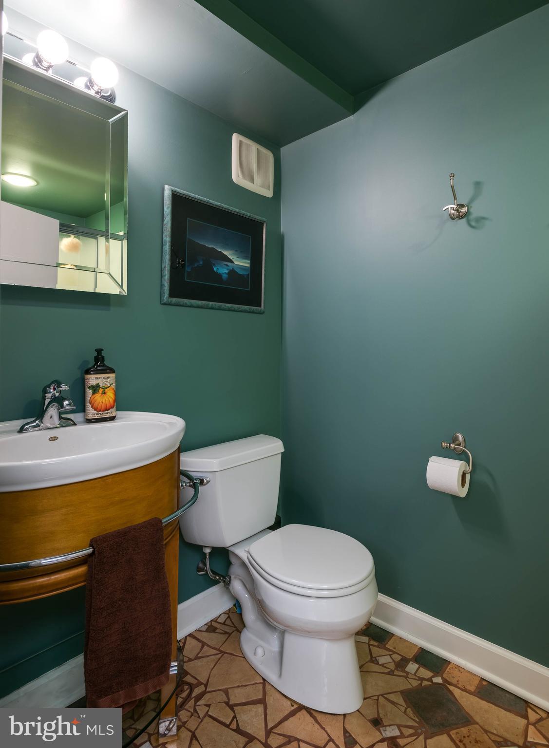 1451 Hilltop Road Spring City, PA 19475 - Photo 93 of 99 Full Bathroom in Basement with Shower