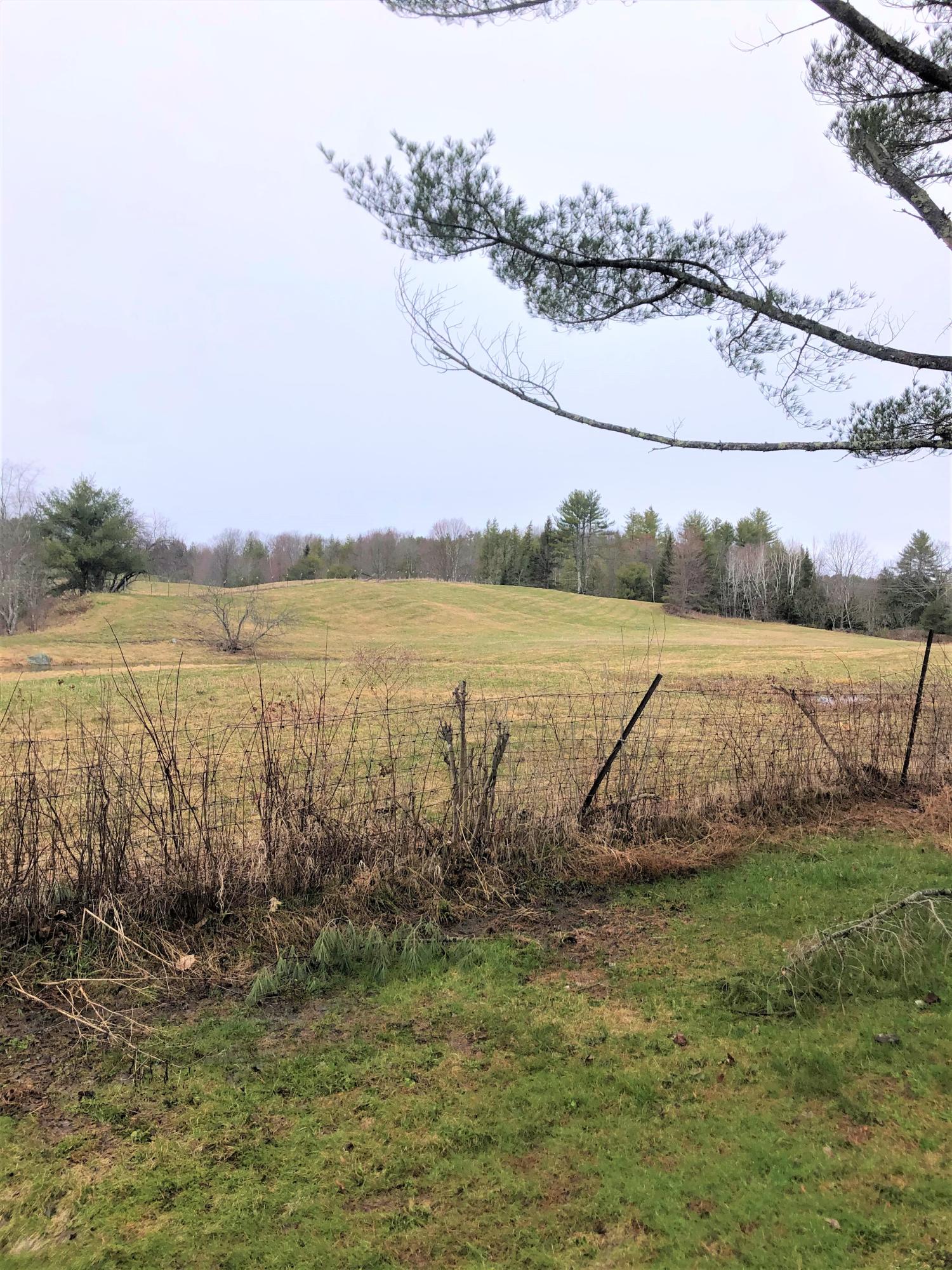 30 Hemlock Cove Road Hollis Center, ME 04042 - Photo 4 of 14 Field