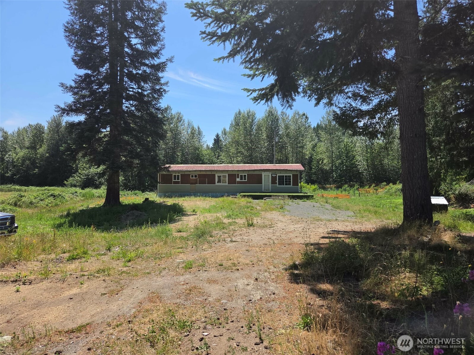 108 Savio Road East Randle, WA 98377 - Photo 1 of 33