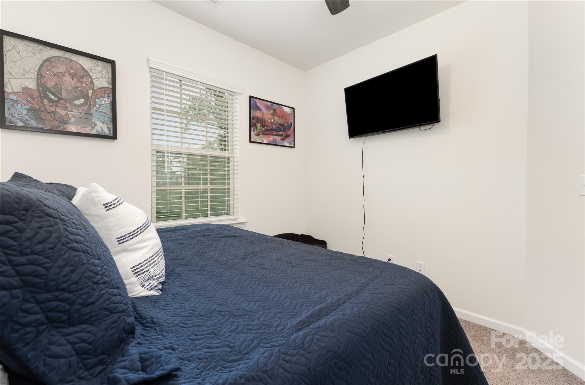 717 Swift Run Tega Cay, SC 29708 - Photo 21 of 39 a bedroom with a bed and a flat screen tv