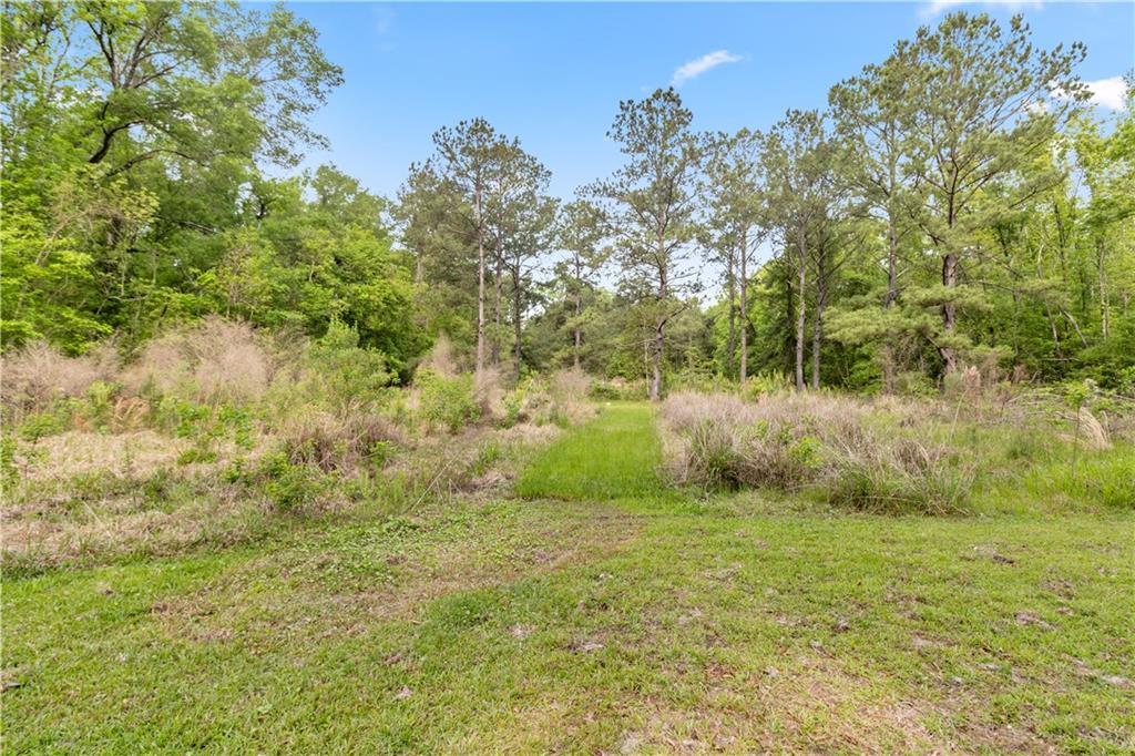 41245 West Yellow Water Road Hammond, LA 70403 - Photo 17 of 20 Gallery Image 17