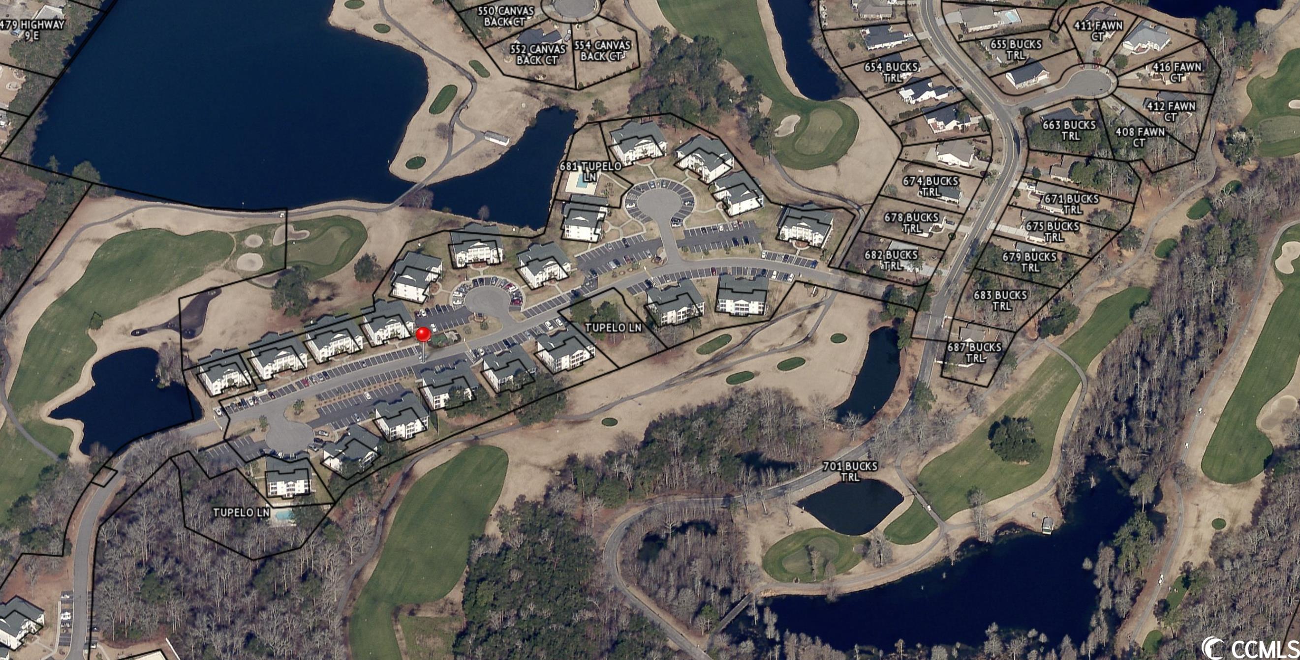 0 Tupelo Lane Longs, SC 29568 - Photo 4 of 5