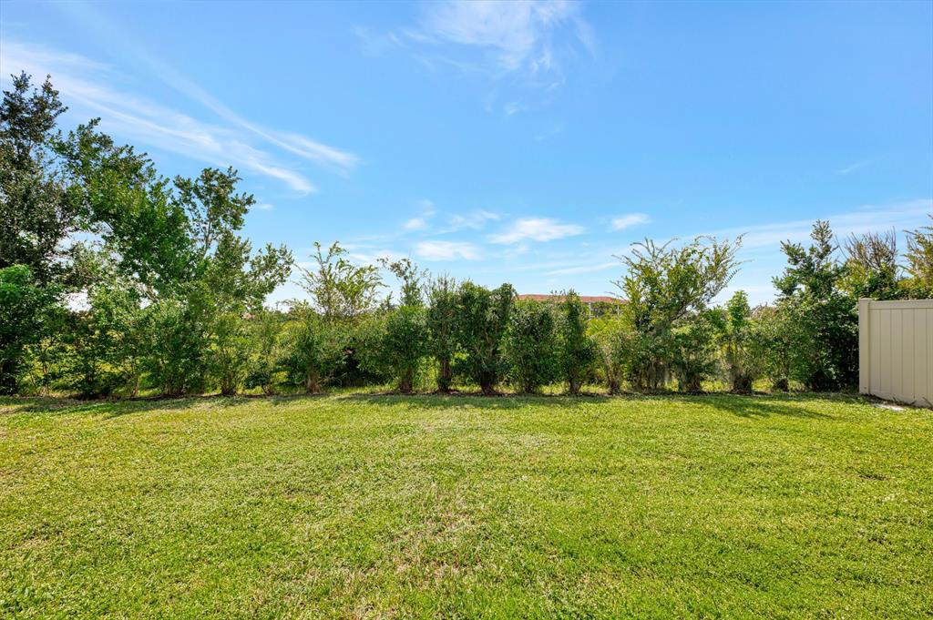 4429 Conchfish Lane Osprey, FL 34229 - Photo 36 of 39 a backyard of a house with lots of green space