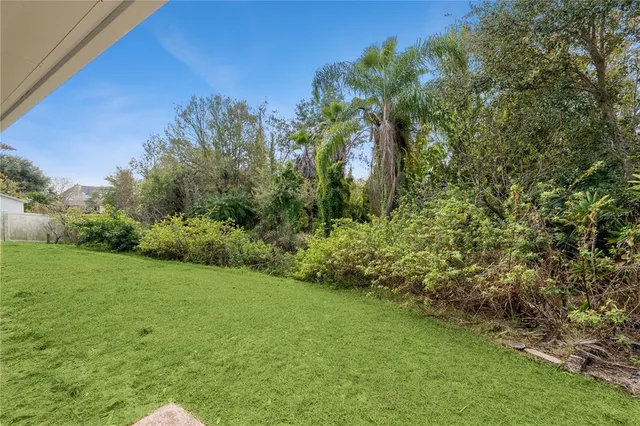 a view of a lush green space