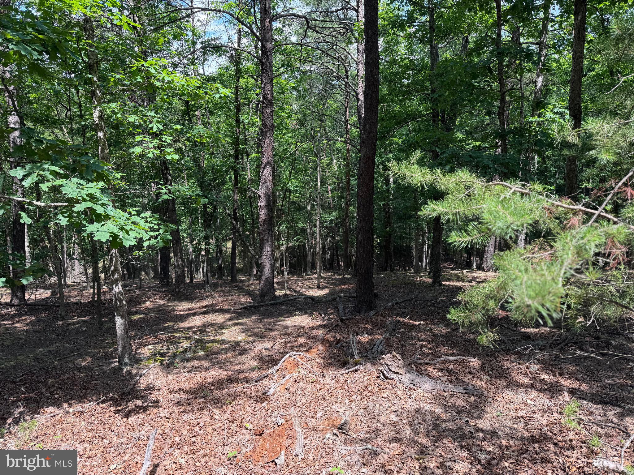 0 Headsville Road Keyser, WV 26726 - Photo 13 of 24