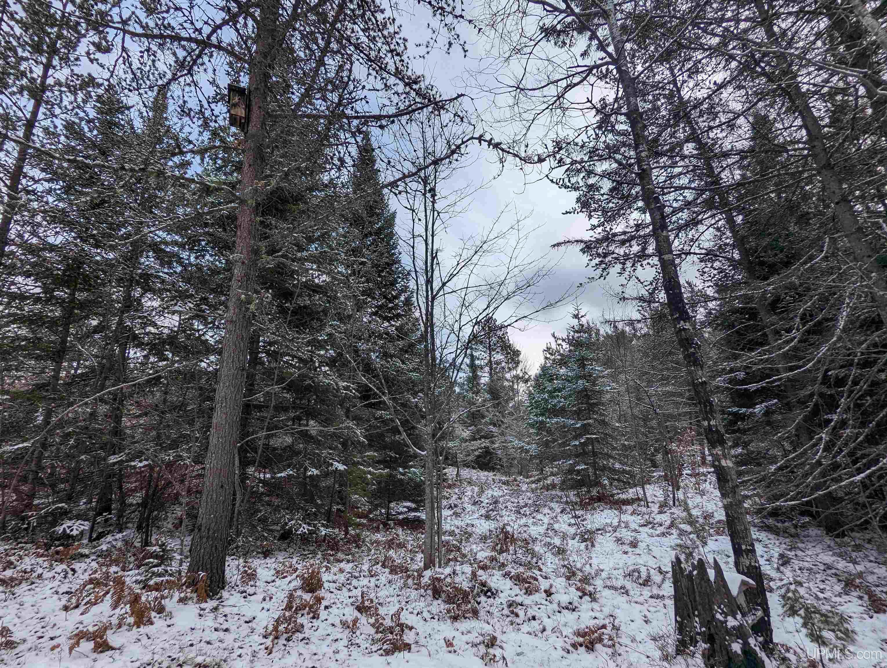 4074 Merwin Creek Road Manistique, MI 49854 - Photo 17 of 24 Gallery Image 17