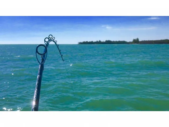 a black and white photo of a park