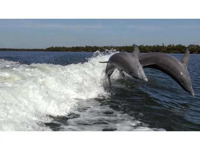 a black and white photo of a lake