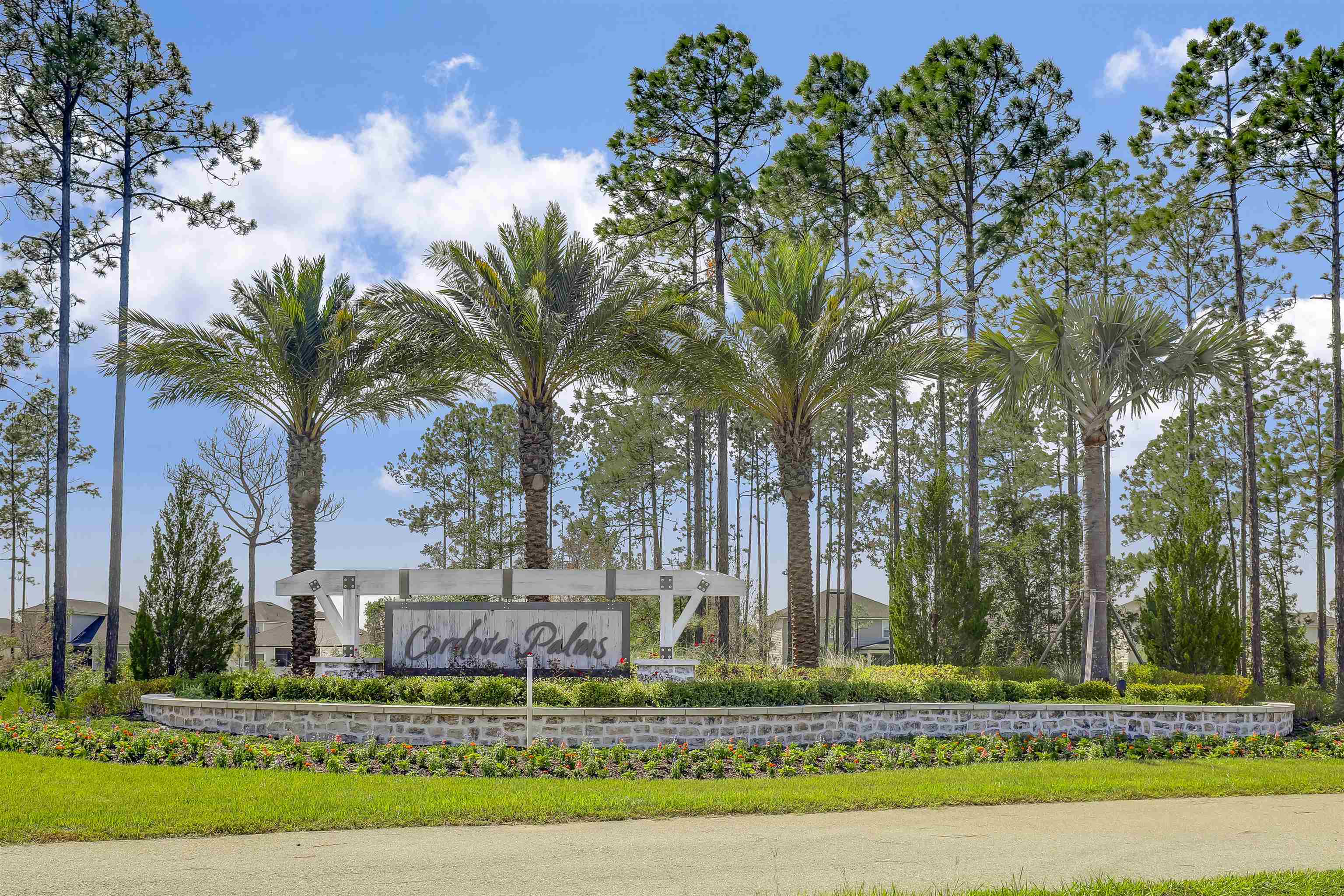 333 Bermudez Way St. Augustine, FL 32095 - Photo 46 of 62 a view of a yard with a tree