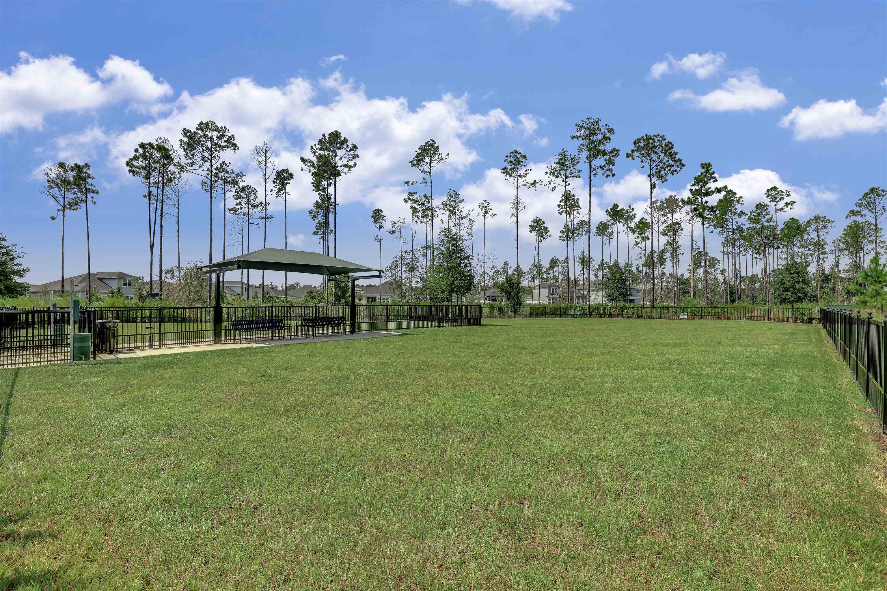 333 Bermudez Way St. Augustine, FL 32095 - Photo 60 of 62 a view of a park