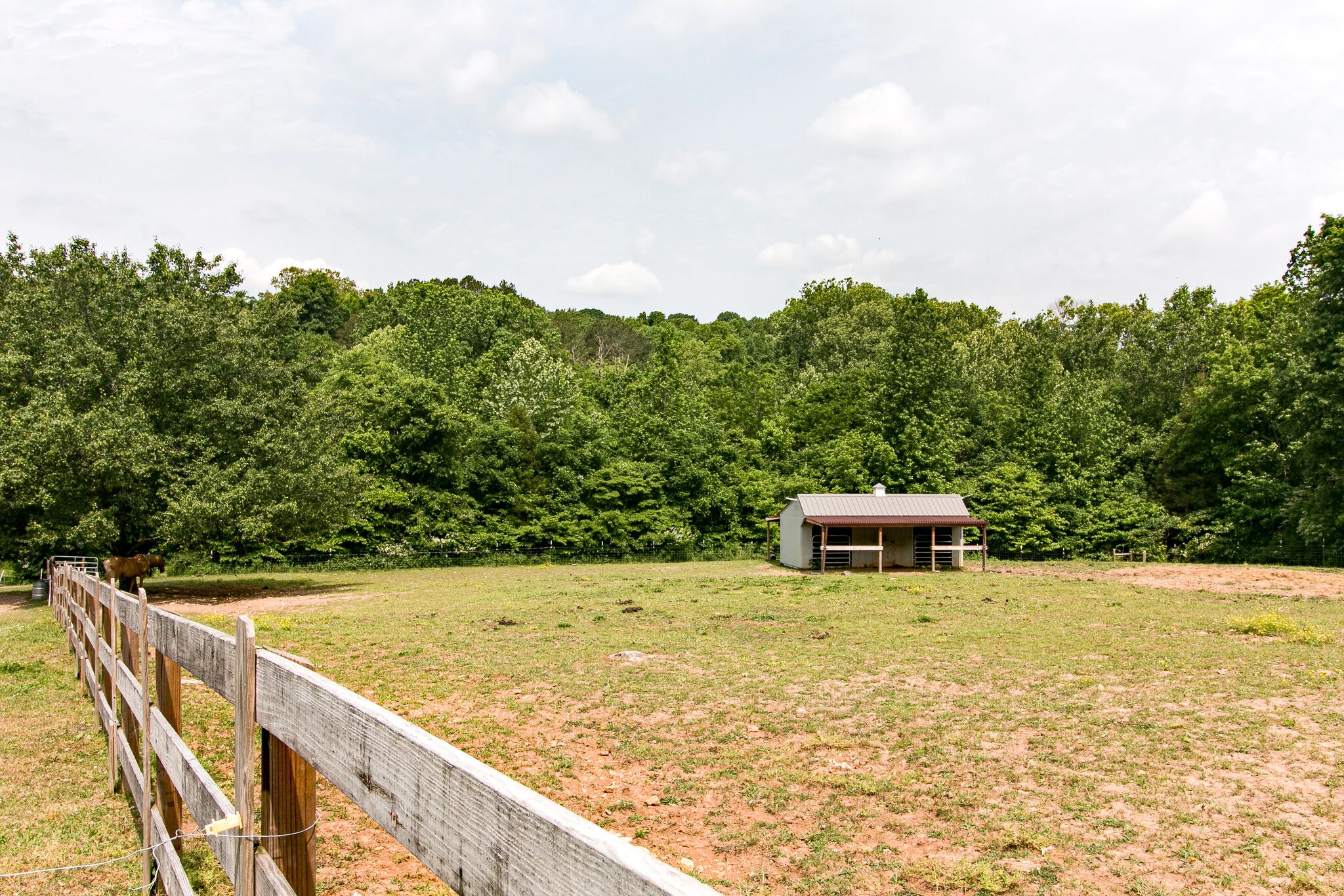 351 Dean Road Clarksville, TN 37040 - Photo 14 of 39