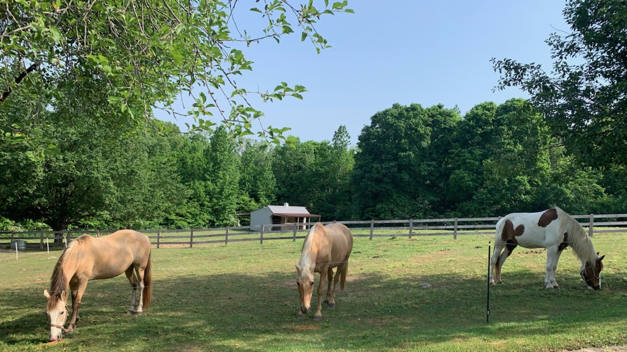351 Dean Road Clarksville, TN 37040 - Photo 15 of 39