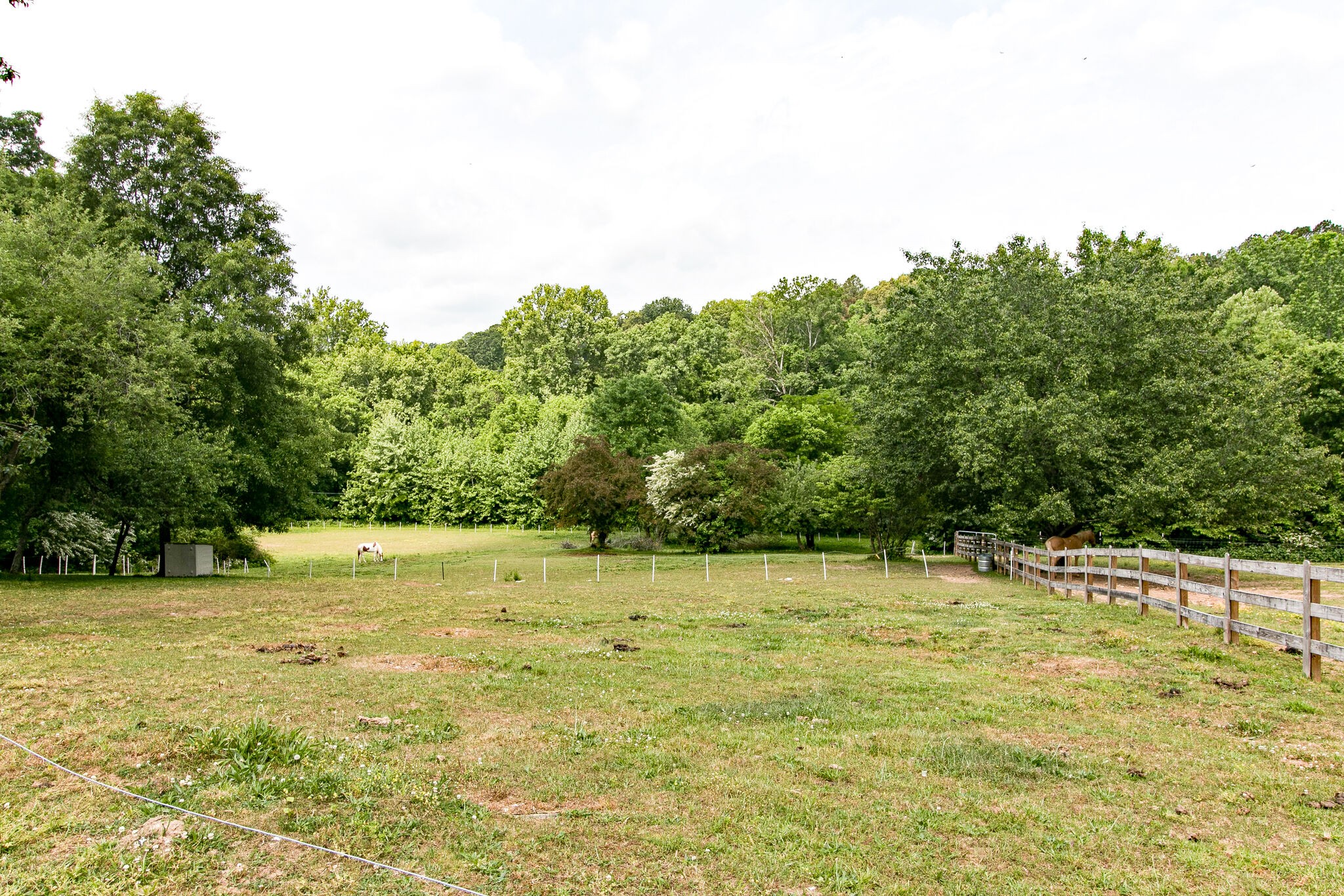 351 Dean Road Clarksville, TN 37040 - Photo 16 of 39