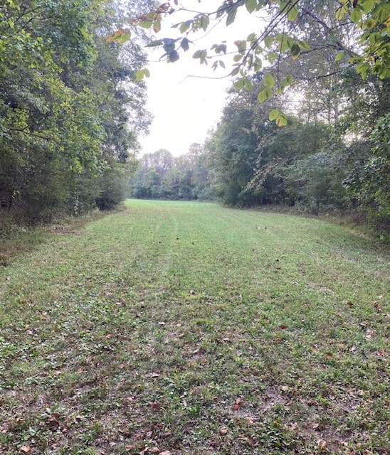 351 Dean Road Clarksville, TN 37040 - Photo 18 of 39