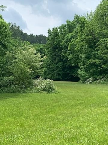 351 Dean Road Clarksville, TN 37040 - Photo 19 of 39