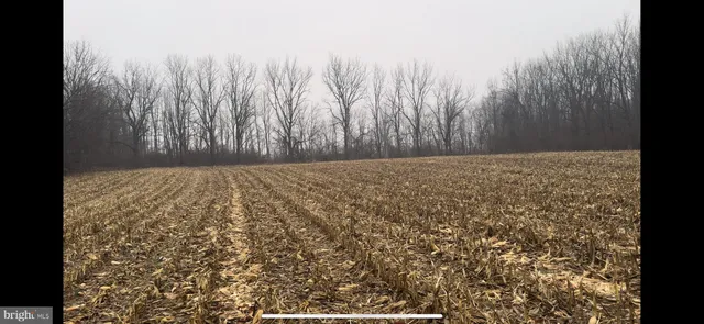 a view of river covered with snow in back