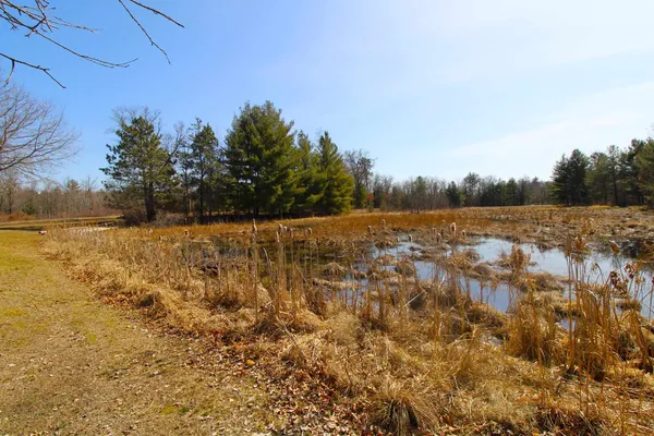 $240,000 | N15945 State Road 80, Necedah, WI 54646