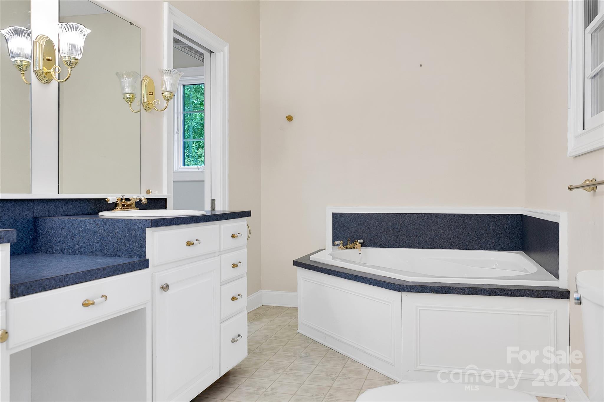 273 Inoli Circle Brevard, NC 28712 - Photo 37 of 47 a bathroom with a sink and a mirror