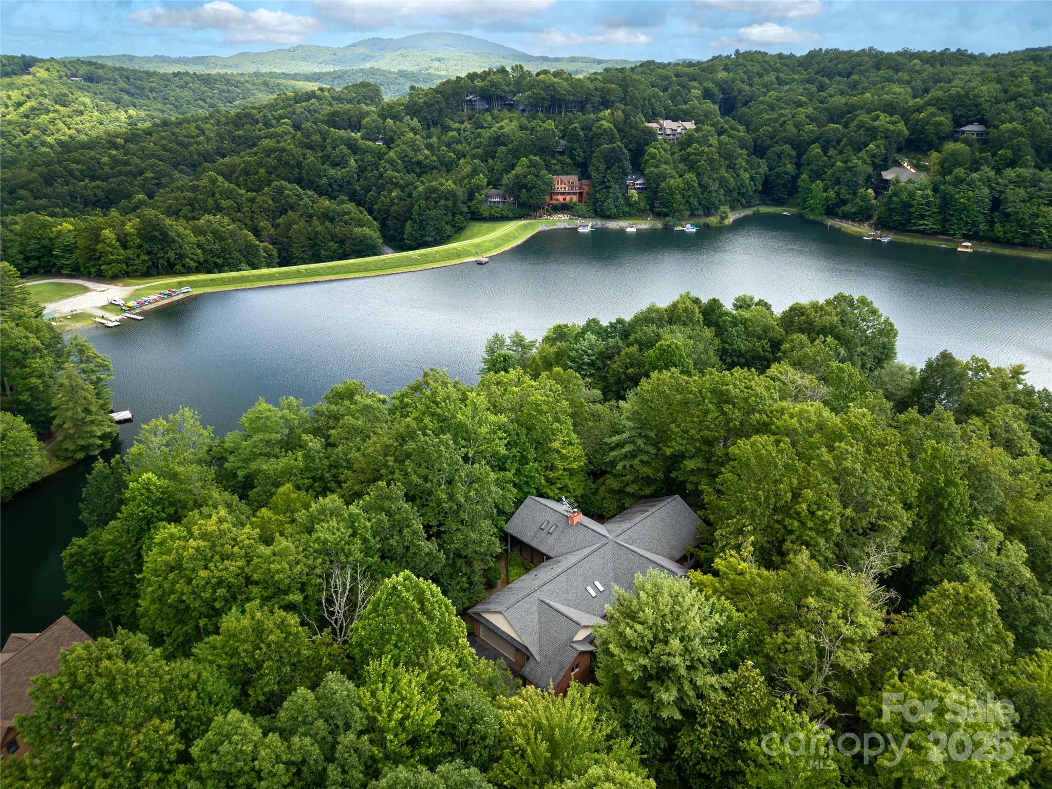 273 Inoli Circle Brevard, NC 28712 - Photo 5 of 47 an aerial view of a house with a yard basket ball court and outdoor seating