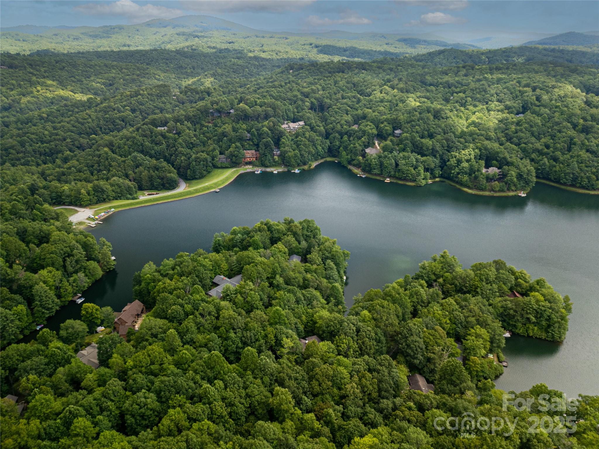 273 Inoli Circle Brevard, NC 28712 - Photo 6 of 47 an aerial view of a houses with a yard