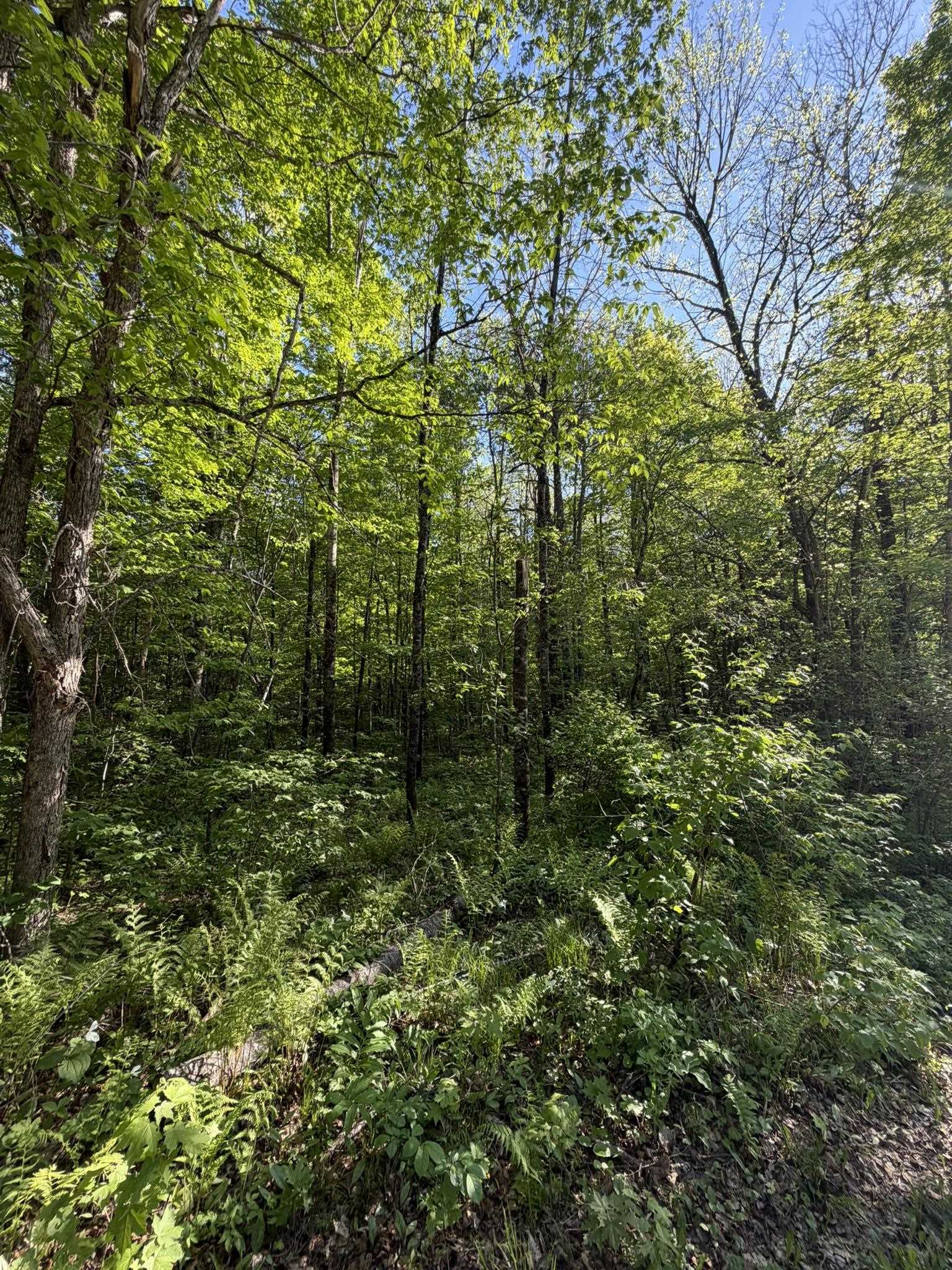 Dream Lake Road, Unit 7 Long Lake, WI 54542 - Photo 3 of 4