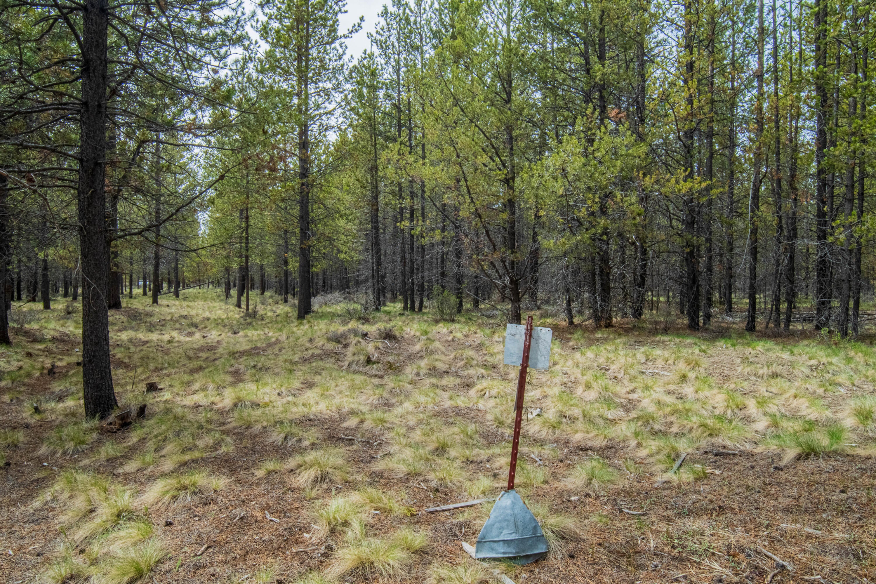 54970 Roundtree Lane Bend, OR 97707 - Photo 8 of 17 54970 Roundtree Ln-11