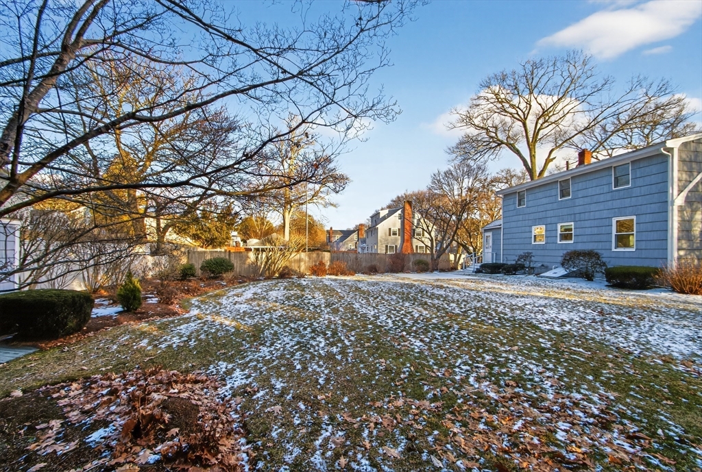 12 Patricia Road Peabody, MA 01960 - Photo 35 of 42 a view of a yard with plants and trees
