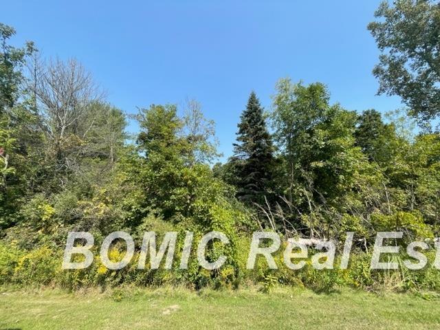 West Saginaw Road Vassar, MI 48768 - Photo 10 of 10 Gallery Image 10